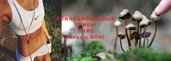 стафф Армянск