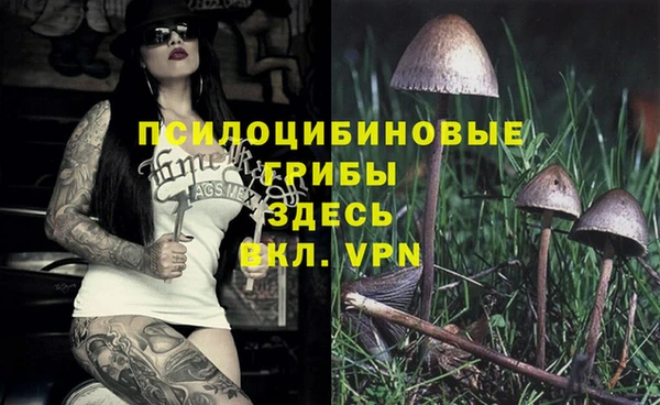 стафф Армянск