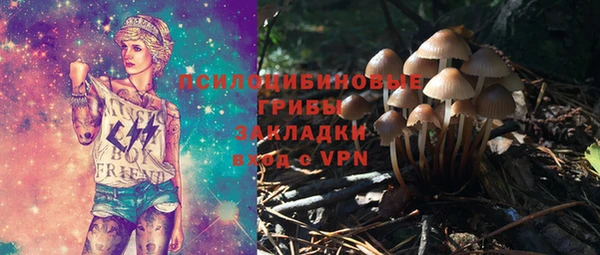 дмт Аркадак